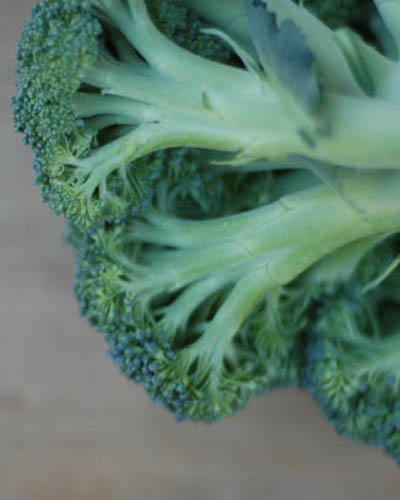 broccoli