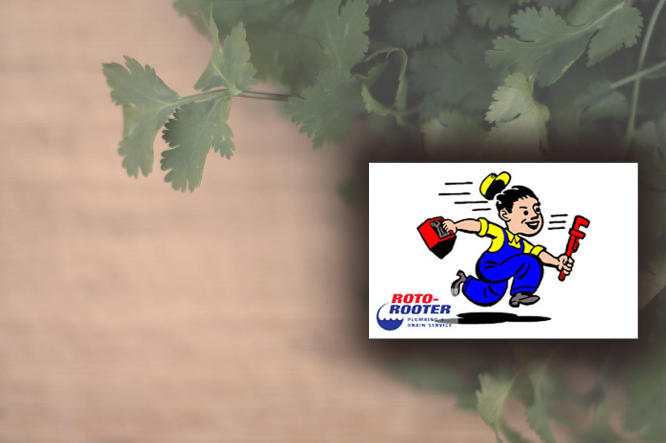 Roto-Rooter Radio